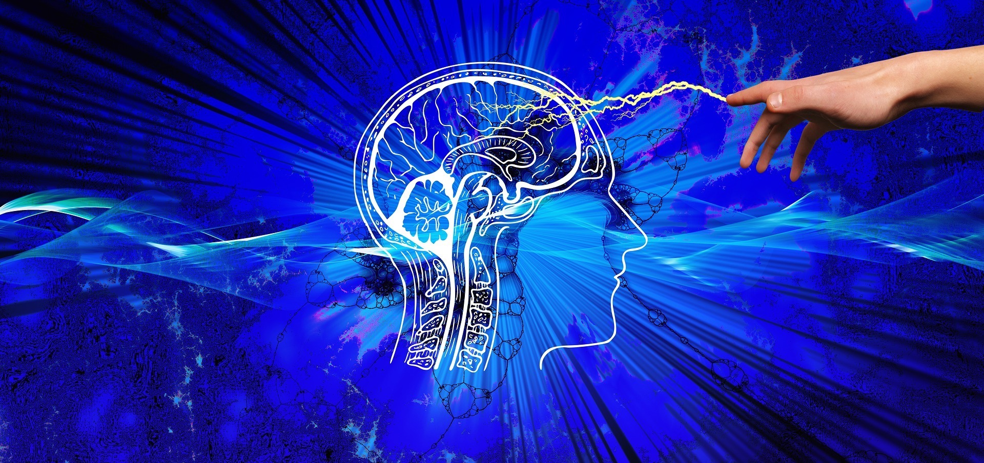 Knowledge Transfusion via Newsletter